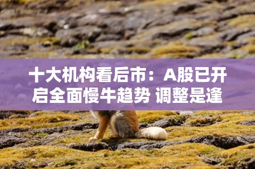十大机构看后市：A股已开启全面慢牛趋势 调整是逢低布局机会