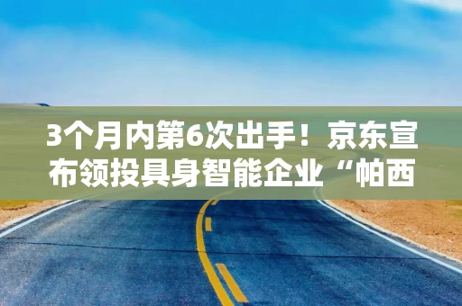 3个月内第6次出手！京东宣布领投具身智能企业“帕西尼”