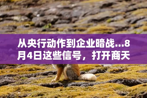 从央行动作到企业暗战...8月4日这些信号，打开商天信息网财经APP就能读懂