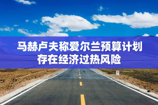 马赫卢夫称爱尔兰预算计划存在经济过热风险