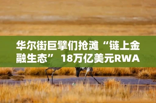 华尔街巨擘们抢滩“链上金融生态” 18万亿美元RWA代币化赛道启幕