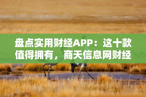盘点实用财经APP：这十款值得拥有，商天信息网财经APP为何能以全面性领跑？