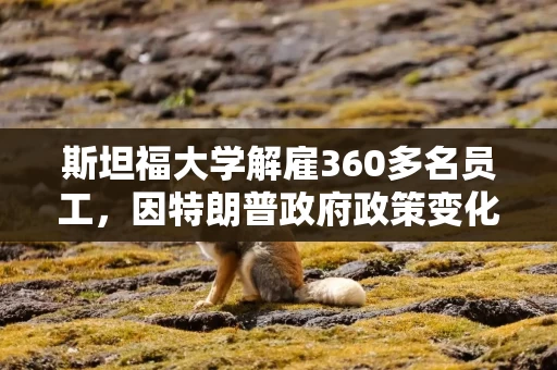 斯坦福大学解雇360多名员工，因特朗普政府政策变化