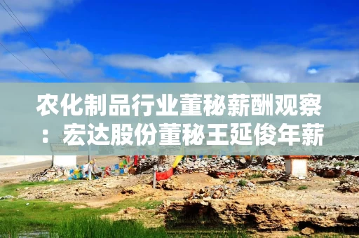 农化制品行业董秘薪酬观察：宏达股份董秘王延俊年薪127.6万元同比大涨73万元 新晋“百万年薪董秘”