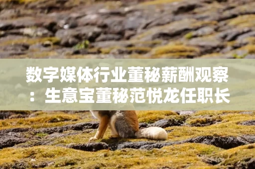 数字媒体行业董秘薪酬观察：生意宝董秘范悦龙任职长达17年之久 年薪31万元不到同行平均薪酬三分之一