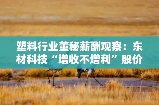 塑料行业董秘薪酬观察：东材科技“增收不增利”股价跌超39% 董秘陈杰年薪61.17万元 同比缩水46.7万元