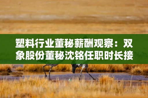 塑料行业董秘薪酬观察：双象股份董秘沈铭任职时长接近18年 年薪33万元与上年持平 仅为同行平均薪酬一半