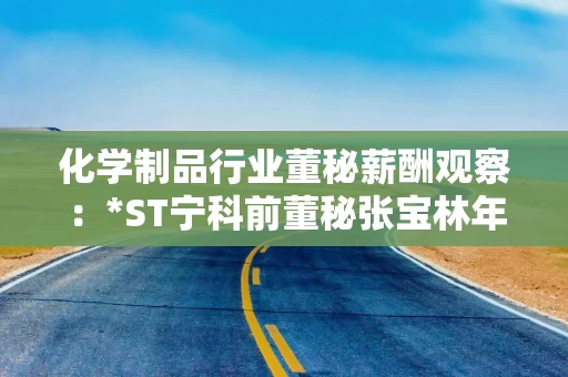 化学制品行业董秘薪酬观察：*ST宁科前董秘张宝林年薪13.41万元 一年内被3次公开谴责、2次警示并罚款20万元