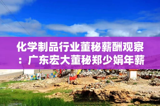 化学制品行业董秘薪酬观察：广东宏大董秘郑少娟年薪238.27万元同比暴涨2.2倍 涨幅远超同期公司业绩增速