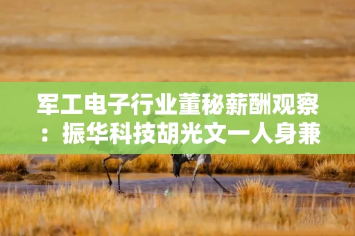 军工电子行业董秘薪酬观察：振华科技胡光文一人身兼董秘、CFO、总法律顾问三职 年薪152.31万元行业登顶