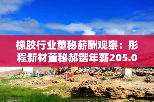 橡胶行业董秘薪酬观察：彤程新材董秘郝锴年薪205.07万元行业登顶 约是同行平均薪酬的3.3倍