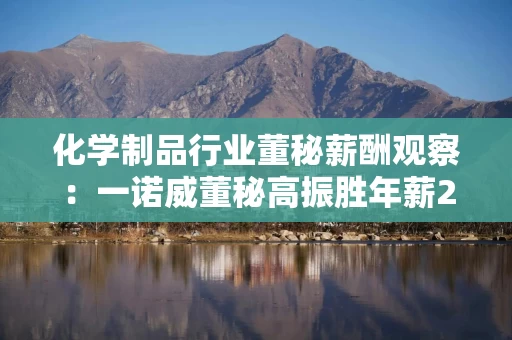 化学制品行业董秘薪酬观察：一诺威董秘高振胜年薪280.5万元同比暴涨171.28万元 超过董事长同期薪酬