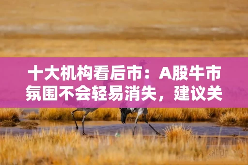 十大机构看后市：A股牛市氛围不会轻易消失，建议关注金融板块和稀土板块