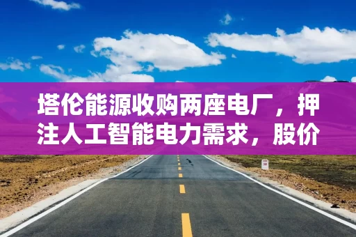 塔伦能源收购两座电厂，押注人工智能电力需求，股价飙升超20%