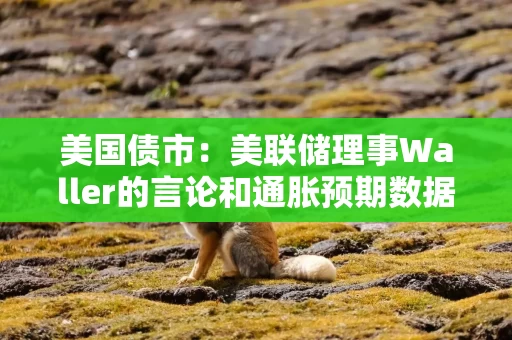 美国债市：美联储理事Waller的言论和通胀预期数据推动美债上涨