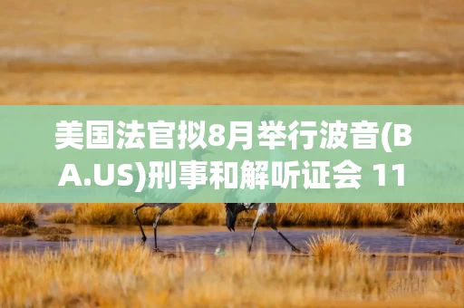 美国法官拟8月举行波音(BA.US)刑事和解听证会 11亿美元能否终结起诉?