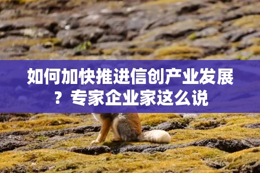 如何加快推进信创产业发展？专家企业家这么说