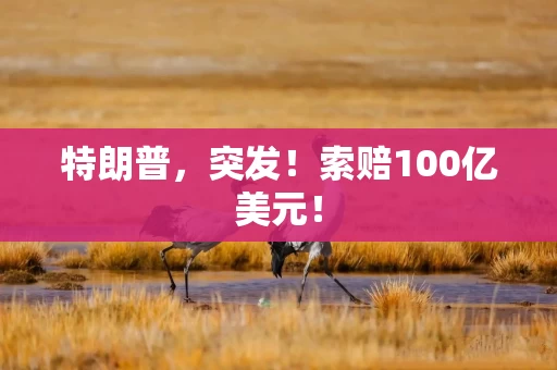 特朗普，突发！索赔100亿美元！
