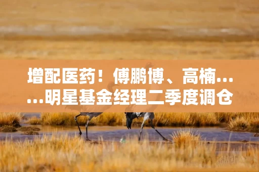 增配医药！傅鹏博、高楠……明星基金经理二季度调仓曝光
