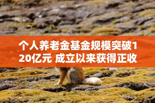 个人养老金基金规模突破120亿元 成立以来获得正收益的产品接近九成