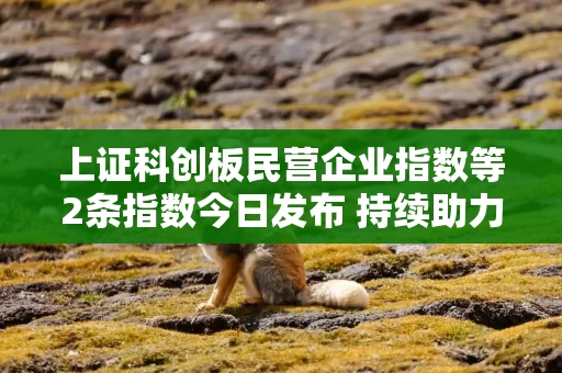 上证科创板民营企业指数等2条指数今日发布 持续助力民营经济和新质生产力发展