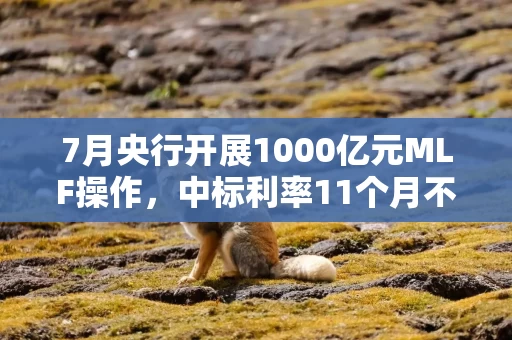 7月央行开展1000亿元MLF操作，中标利率11个月不变