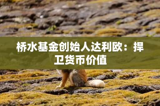 桥水基金创始人达利欧：捍卫货币价值