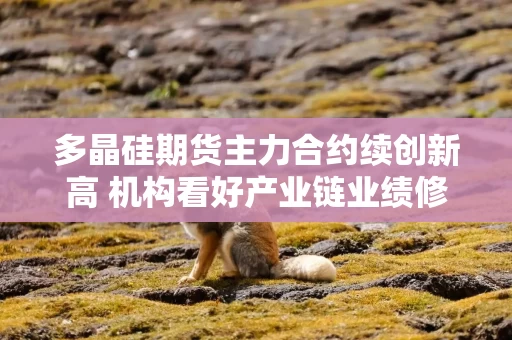 多晶硅期货主力合约续创新高 机构看好产业链业绩修复