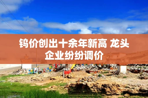 钨价创出十余年新高 龙头企业纷纷调价