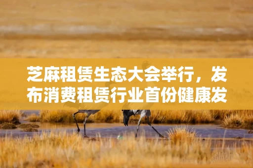 芝麻租赁生态大会举行，发布消费租赁行业首份健康发展白皮书