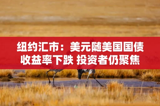纽约汇市：美元随美国国债收益率下跌 投资者仍聚焦美联储主席任期