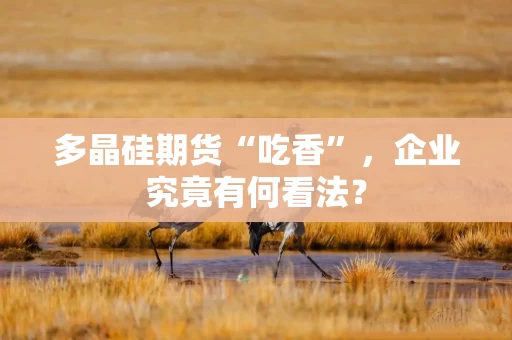 多晶硅期货“吃香”，企业究竟有何看法？