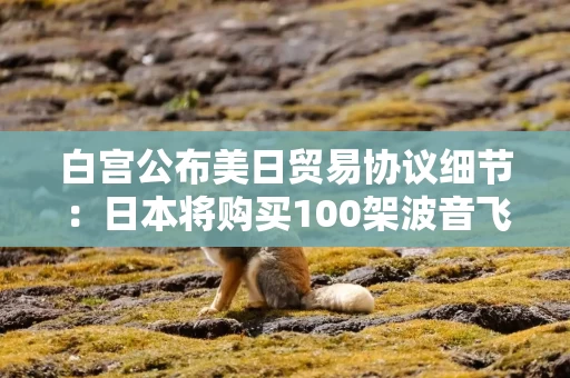 白宫公布美日贸易协议细节：日本将购买100架波音飞机，将美国大米进口增加75%