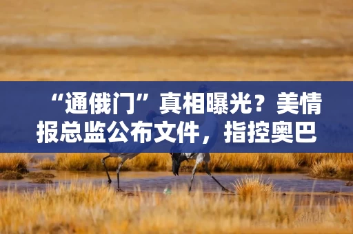 “通俄门”真相曝光？美情报总监公布文件，指控奥巴马政府陷害特朗普