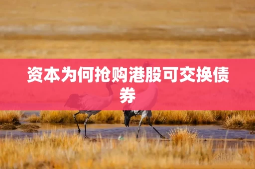 资本为何抢购港股可交换债券