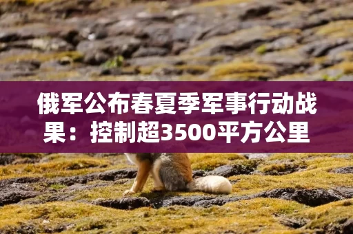 俄军公布春夏季军事行动战果：控制超3500平方公里土地和149个居民点！美官员：欧洲试图暗中破坏