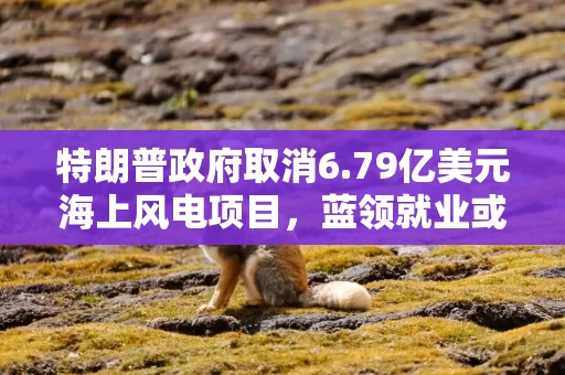 特朗普政府取消6.79亿美元海上风电项目，蓝领就业或受威胁