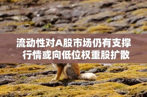 流动性对A股市场仍有支撑  行情或向低位权重股扩散