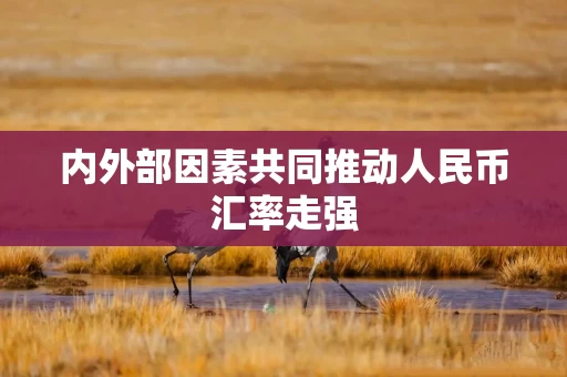 内外部因素共同推动人民币汇率走强