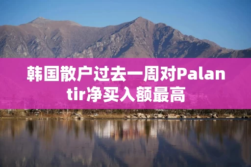 韩国散户过去一周对Palantir净买入额最高