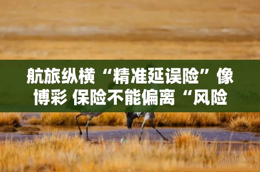 航旅纵横“精准延误险”像博彩 保险不能偏离“风险兜底”初心