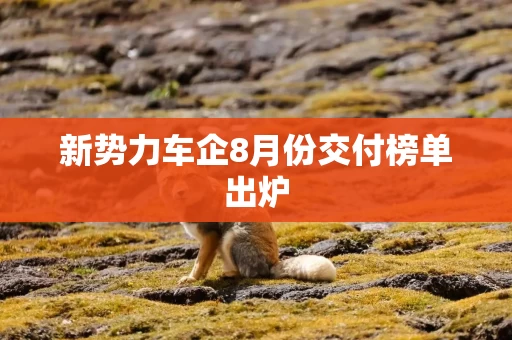 新势力车企8月份交付榜单出炉