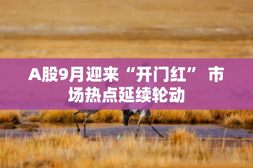 A股9月迎来“开门红” 市场热点延续轮动