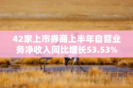 42家上市券商上半年自营业务净收入同比增长53.53%