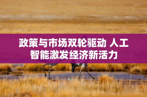 政策与市场双轮驱动 人工智能激发经济新活力