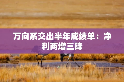 万向系交出半年成绩单：净利两增三降