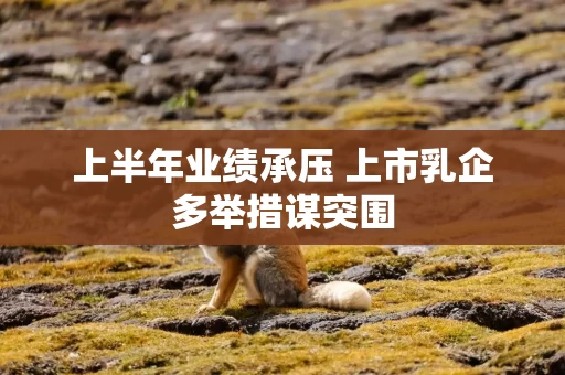 上半年业绩承压 上市乳企多举措谋突围