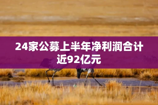 24家公募上半年净利润合计近92亿元
