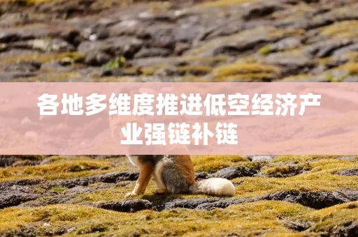 各地多维度推进低空经济产业强链补链