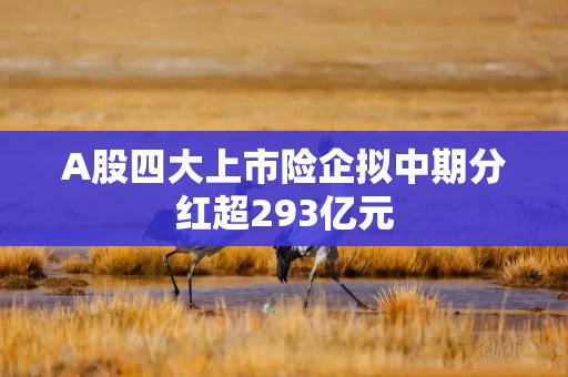 A股四大上市险企拟中期分红超293亿元